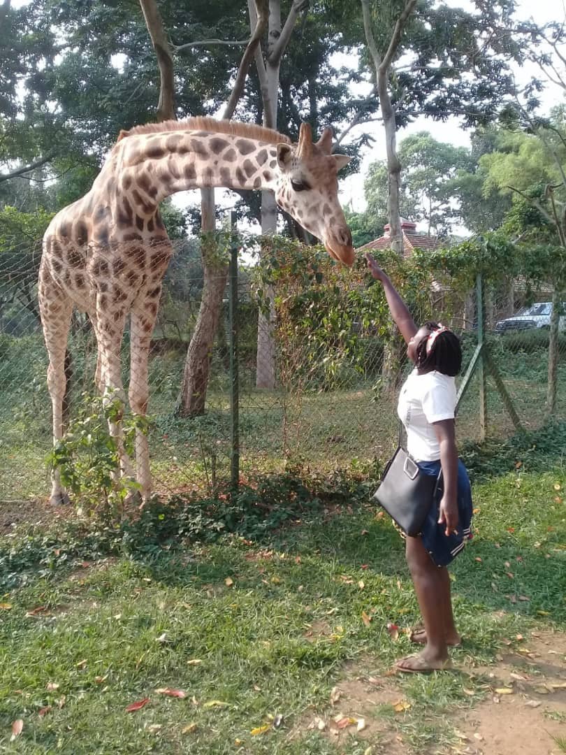 Uganda Wildlife Education Centre | Entebbe Zoo & Aivilo Home